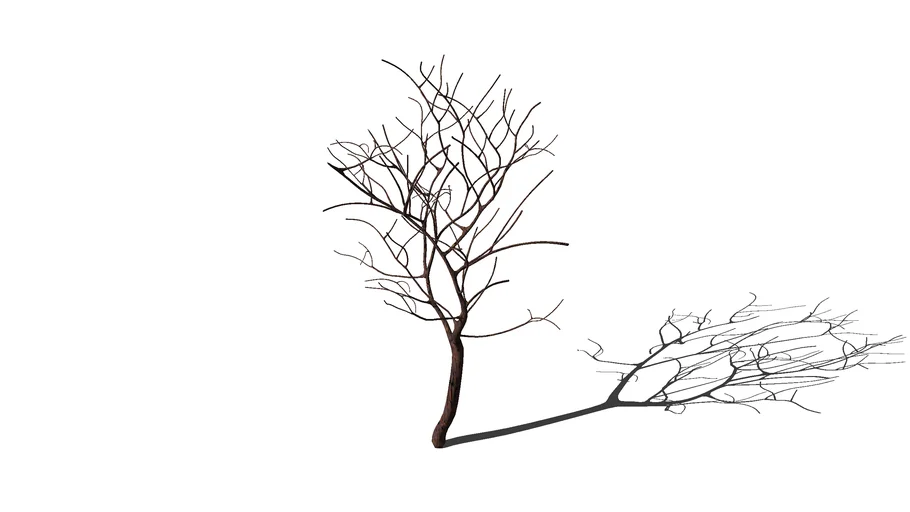 Árbol Minimalista 01