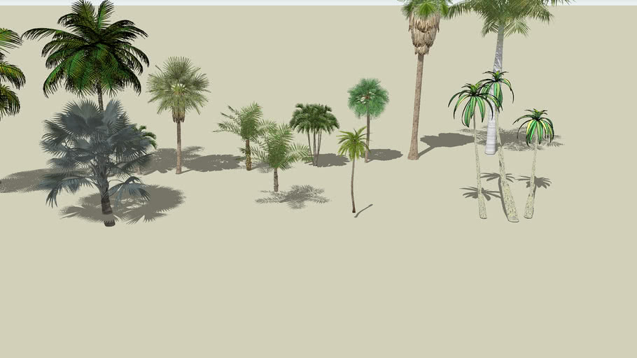 palm trees | 3D Warehouse