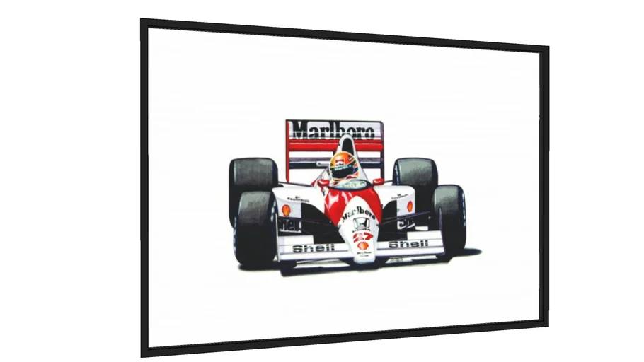 133 Ayrton Senna Circuit Images, Stock Photos, 3D objects, & Vectors