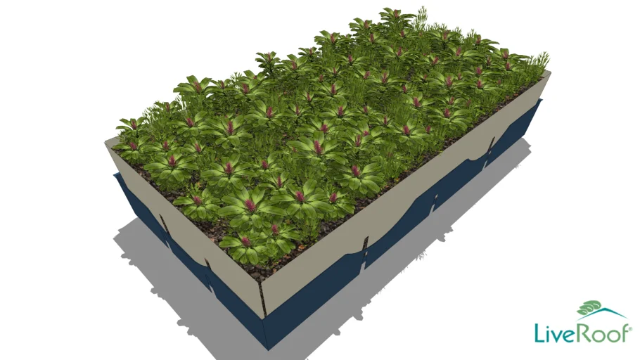 LiveRoof – Green Roof Module | 3D Warehouse