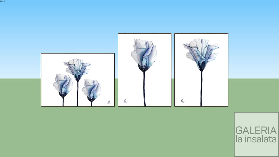 Flor de seda azul horizontal e vertical | 3D Warehouse