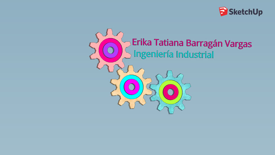 Ingeniería Industrial - Erika Barragán