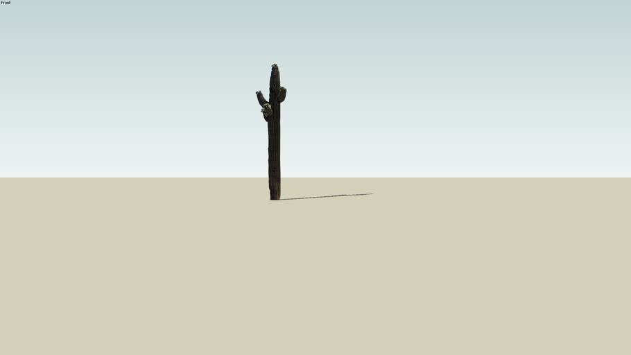 saguaro cactus | 3D Warehouse