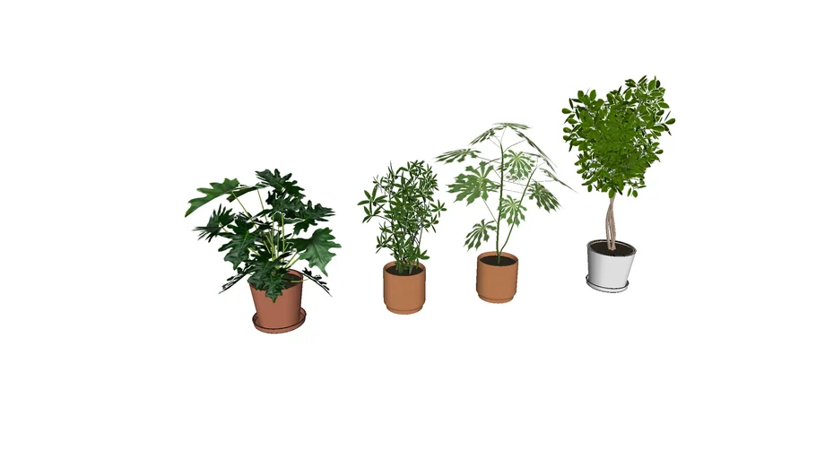 plant - multiple plants