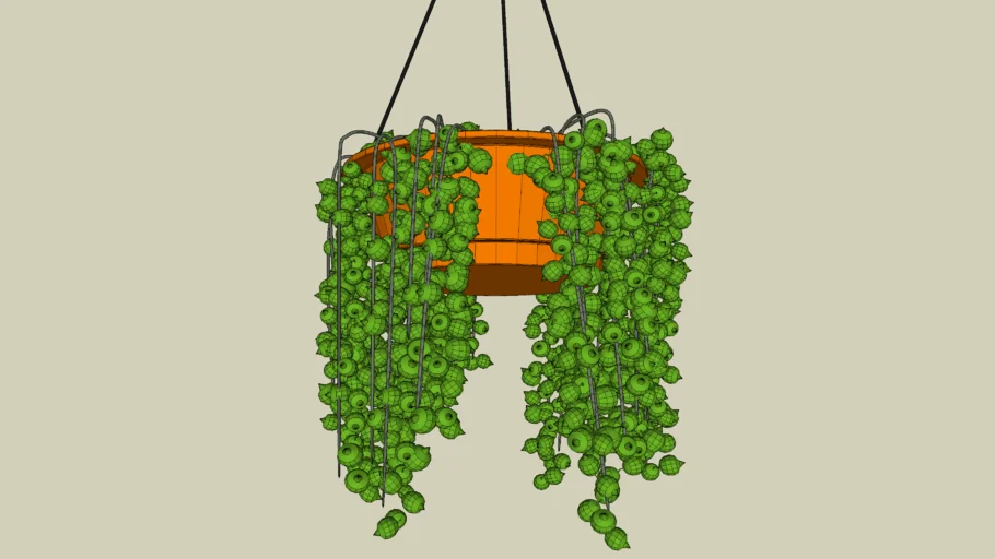 Hanging Plant 3d Warehouse 4247