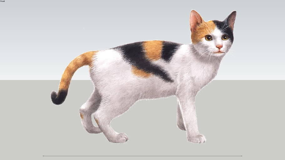 ねこ 3d Warehouse