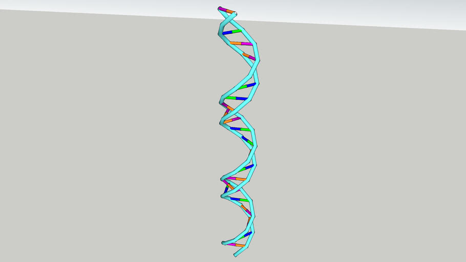 dna helix 3d