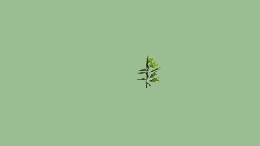 five_leaves_pine | 3D Warehouse