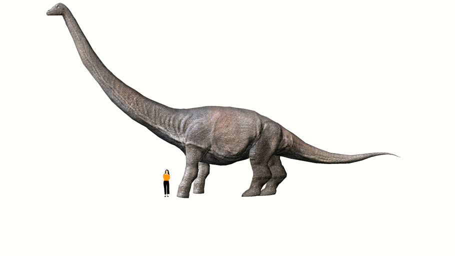 dreadnoughtus