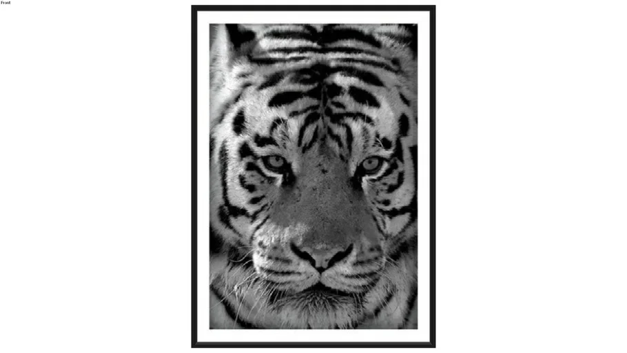 tigre - - 3D Warehouse