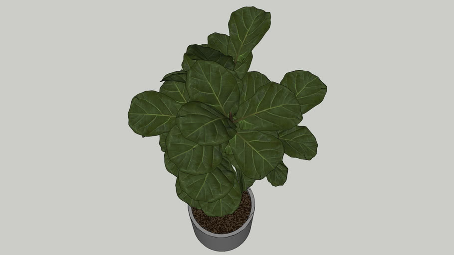 Plants3d | 3D Warehouse