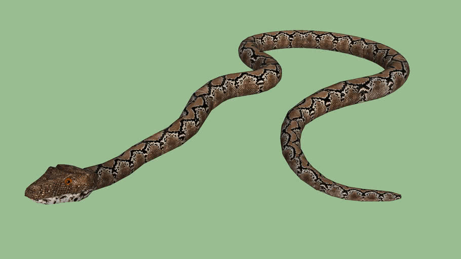 Python | 3D Warehouse