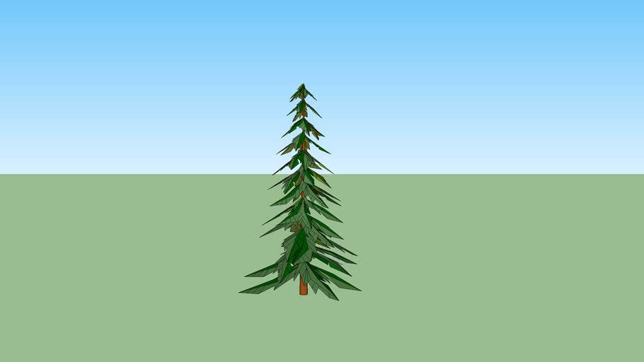 sapin | 3D Warehouse