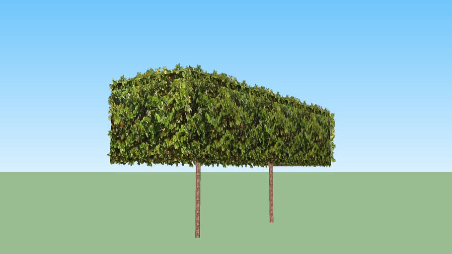 Cube Tree 3D Warehouse