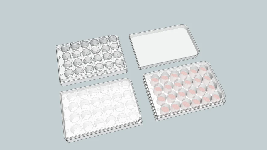 24 well plate for cell culture work 3D Warehouse