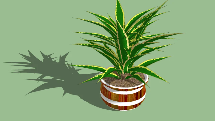 Plant