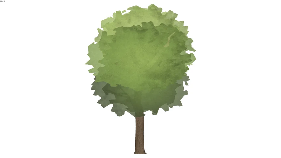 Tree watercolor lowpoly