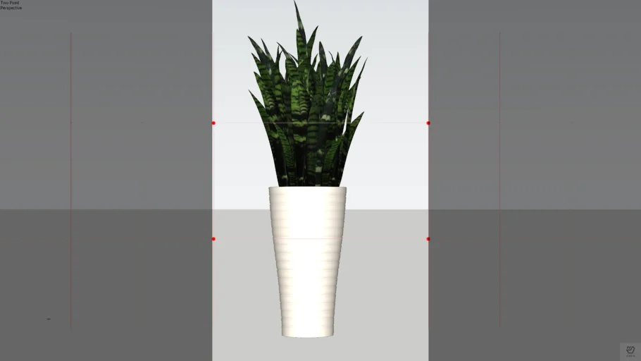 Sansevieria trifasciata | 3D Warehouse