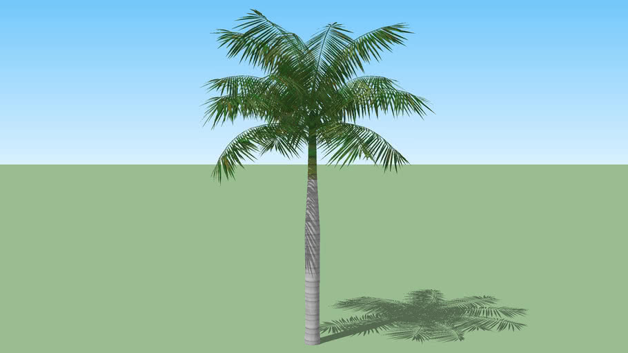 tree 2016 3D Warehouse