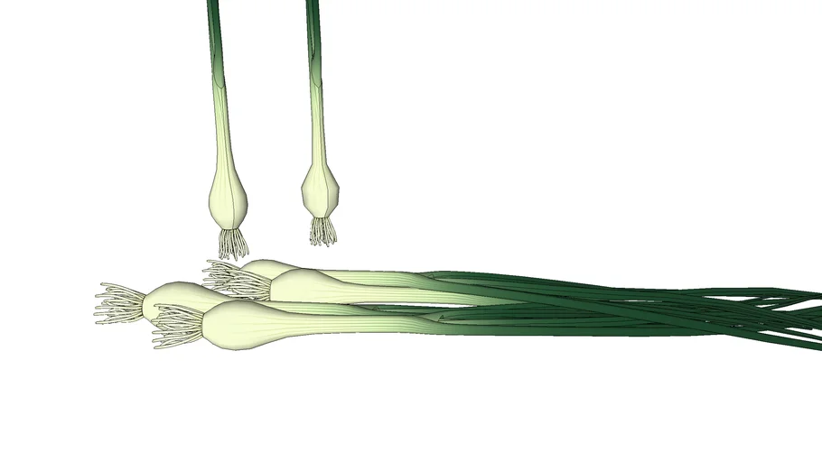 Green Onion