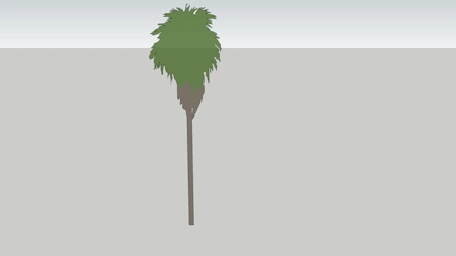 2D PALM TREE