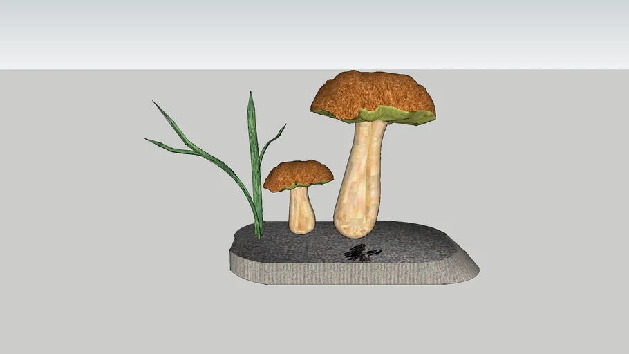 3 D mushrooms Boletus edulis