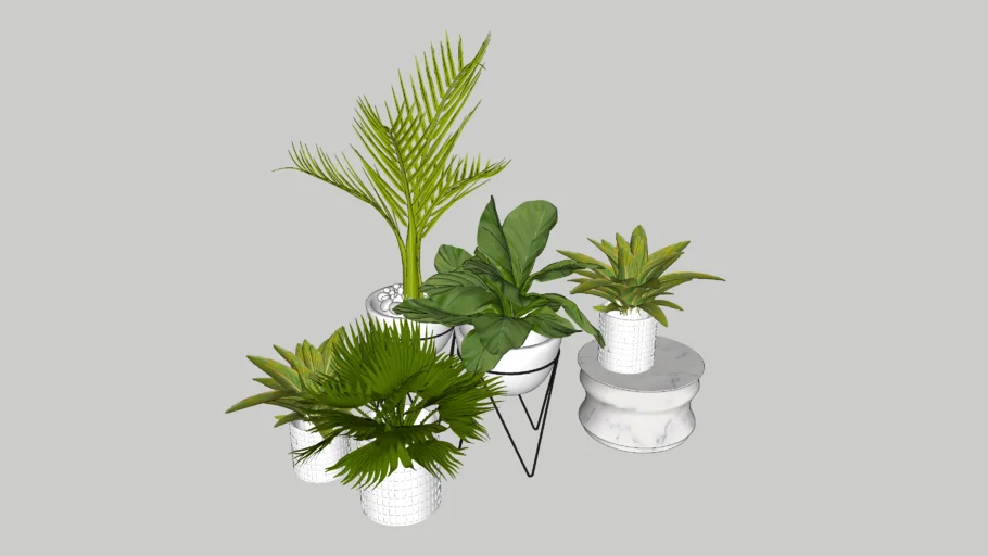 Plants | 3D Warehouse