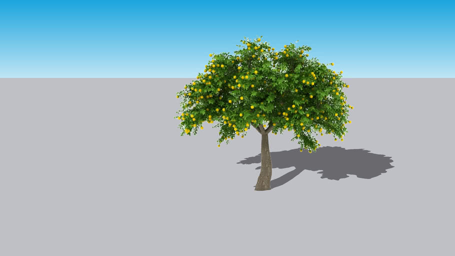 Tangerine Tree 2D Face Me | 3D Warehouse