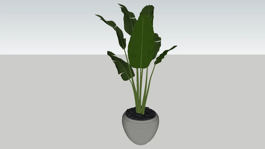 PLANT 3 | 3D Warehouse