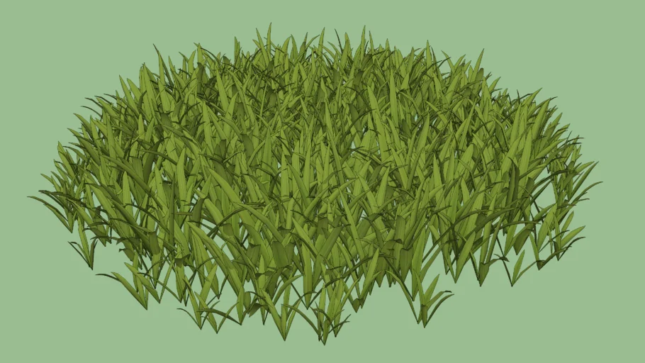 Skatter Short Grass (large patch)