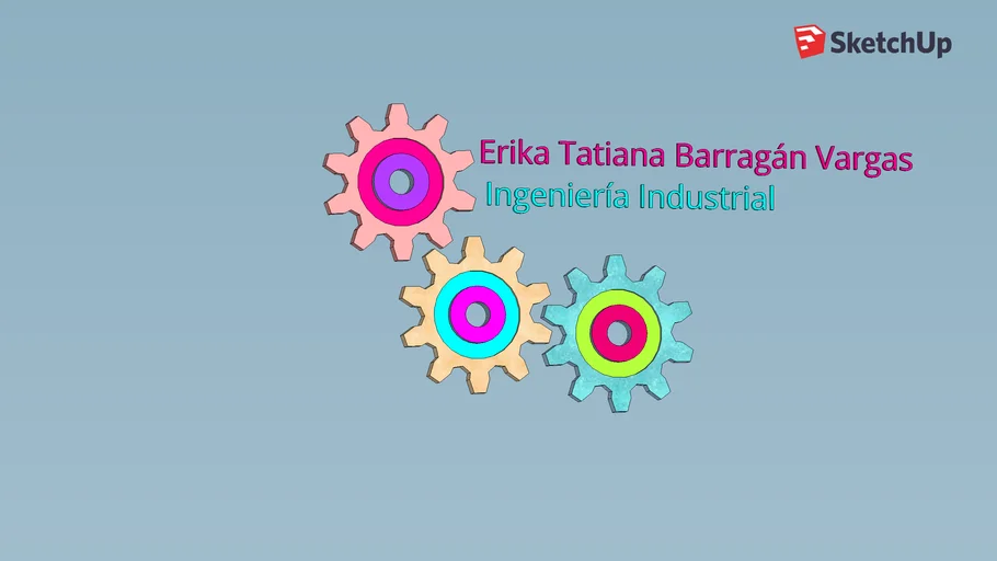 Ingeniería Industrial - Erika Barragán