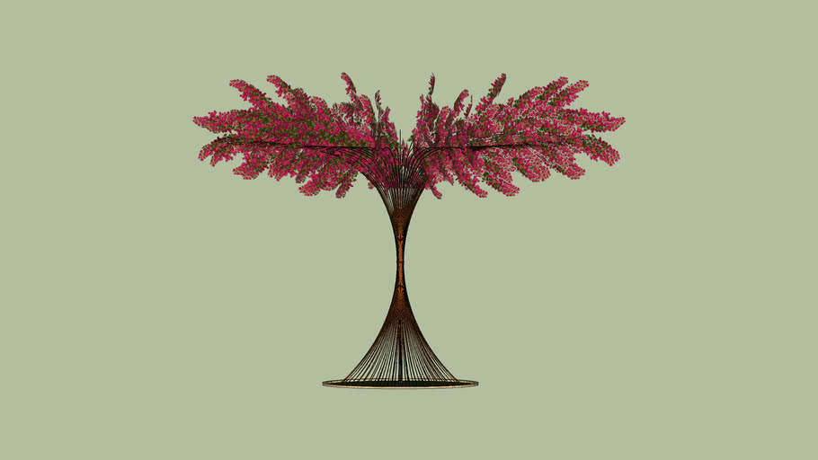 bougainvillea tree 1