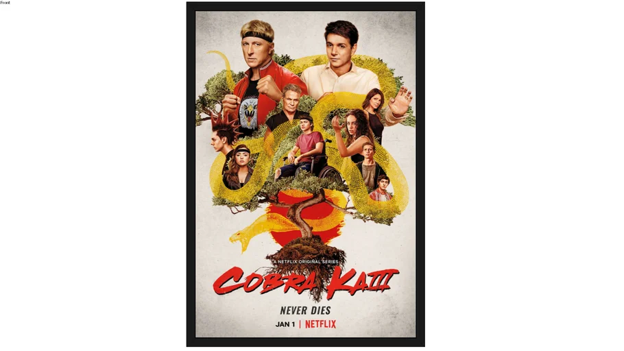 Cobra Kai Season 3 Poster | 3D Warehouse