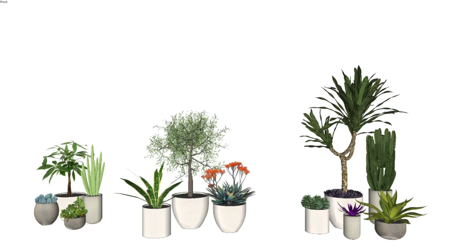 OUTDOOR CONCRETE POTS AND PLANTS