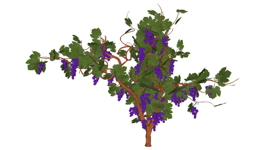 3D Generic Tree 08 - Vine Tree