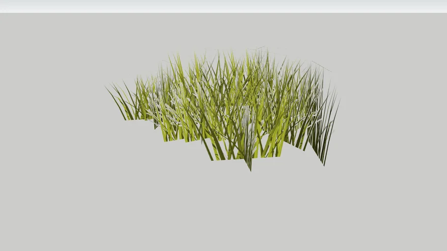 Grass Patch, image-based, 1' diameter, random | 3D Warehouse