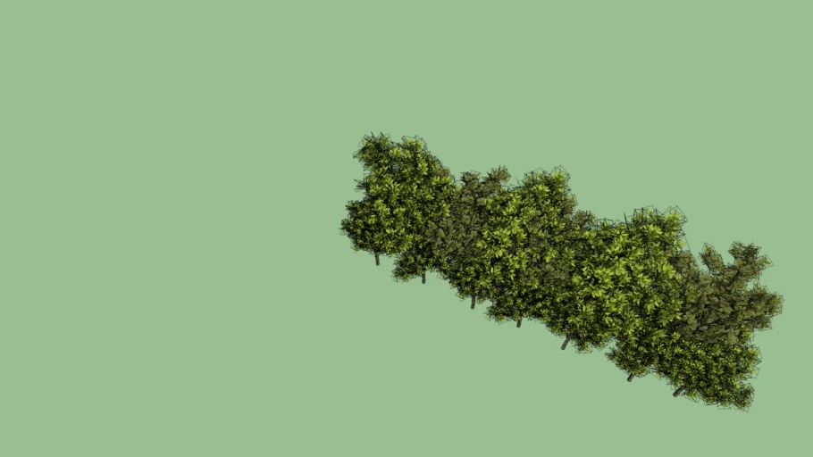 Bush | 3D Warehouse