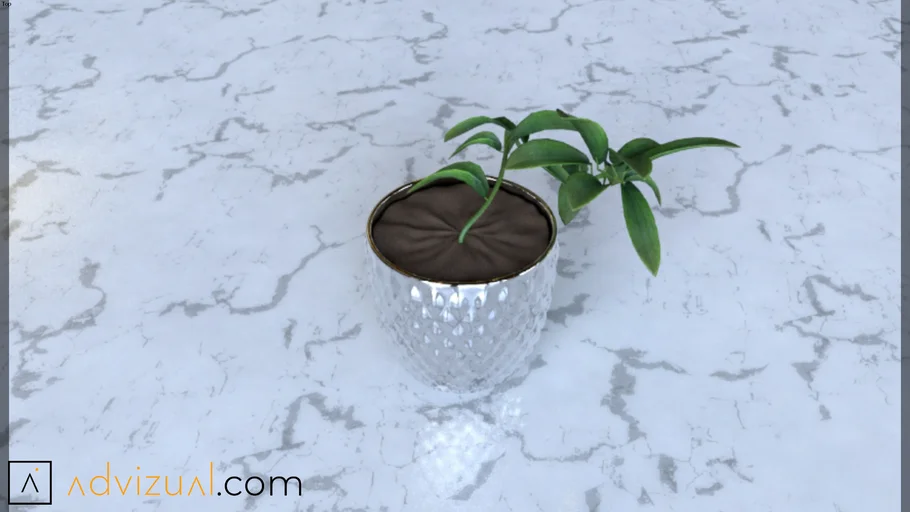 Indoor pot plant (V-Ray Ready)