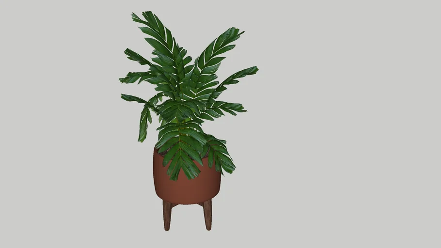 tree pot