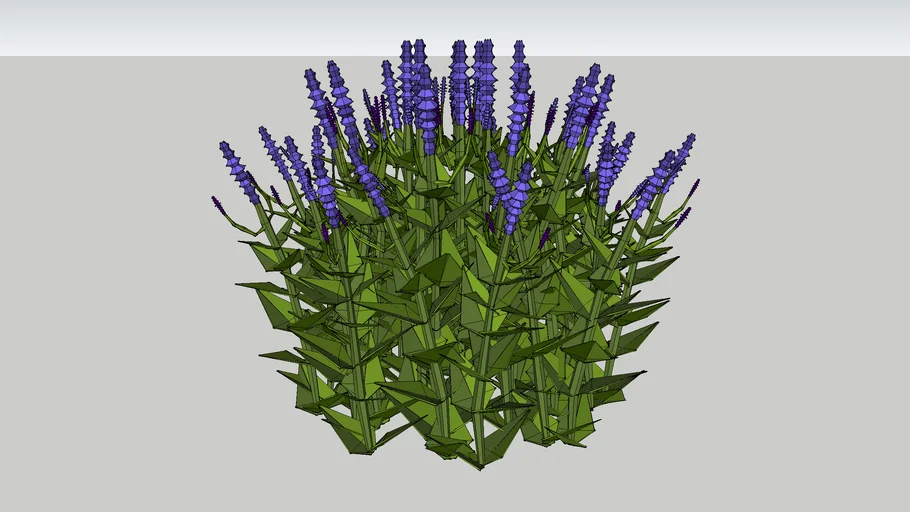 salvia low poly | 3D Warehouse