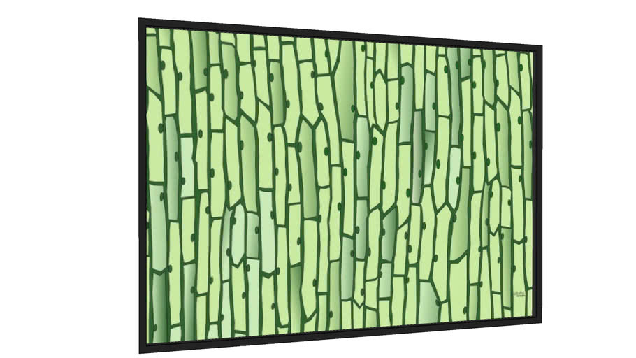 Quadro Tecido vegetal verde - Galeria9, por Alicita