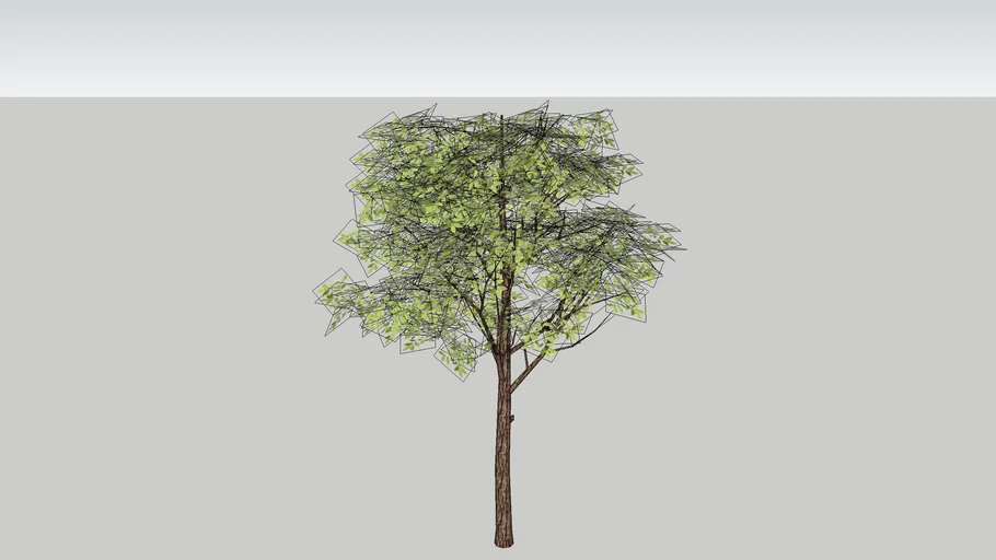 Standard Tree - Round