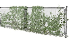 Veg Enredaderas 3d Warehouse