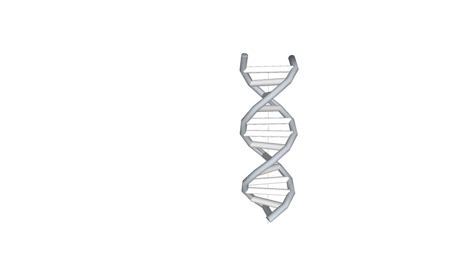 Dna Structure 3d Warehouse