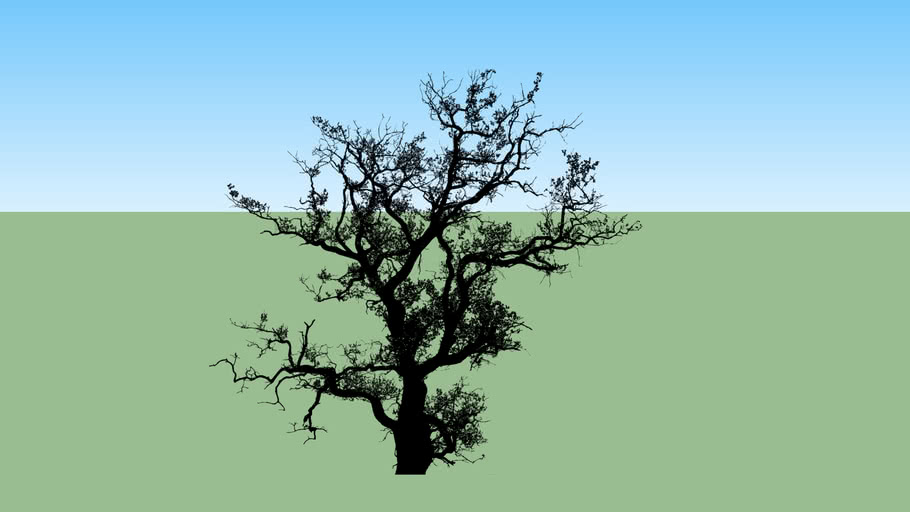 Диаграмма дерево powerpoint. Creative tree diagram. Дерево для детей. Create tree. Twistedbrush tree studio.