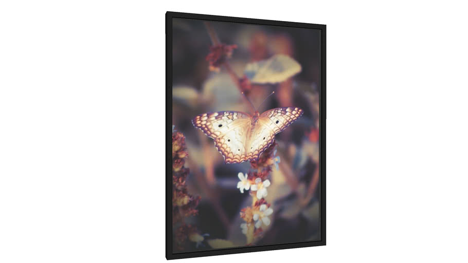 Quadro Butterfly - Galeria9, por leandrojsj