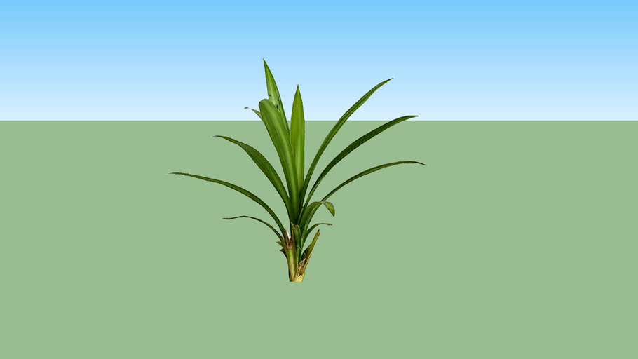 Pandan Masak | 3D Warehouse