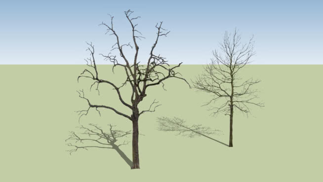 tree | 3D Warehouse
