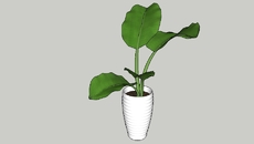 plantas | 3D Warehouse