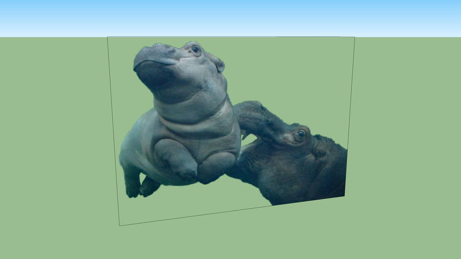 2d_hippopotamus_underwater.